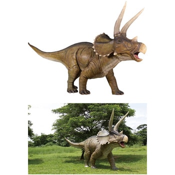 fr140098 巨大トリケラトプス / Giant Triceratops 1個 Heinimex