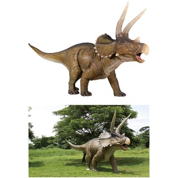 巨大トリケラトプス Giant Triceratops Heinimex 置き物 インテリア小物 収納 通販モノタロウ Fr