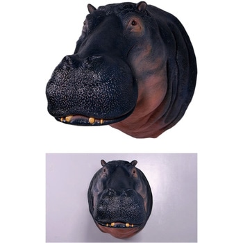 壁掛け カバの頭部 Hippopotamus Head Only Heinimex 置き物 インテリア小物 収納 通販モノタロウ Fr 壁掛け カバの頭部 Hippopotamus Head Only Heinimex 置き物 インテリア小物 収納 通販モノタロウ Fr