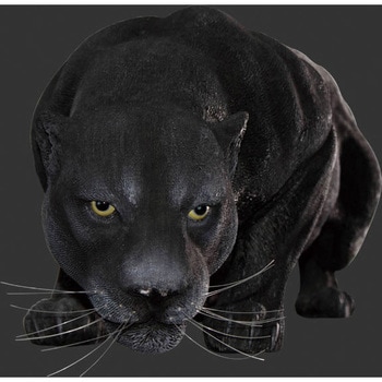 黒豹の跳躍 Black Panther Heinimex 置き物 インテリア小物 収納 通販モノタロウ Fr