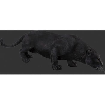 fr090011 黒豹の跳躍 / Black Panther 1個 Heinimex 【通販モノタロウ】