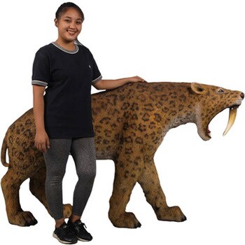 Fr サーベルタイガー Smilodon Saber Toothed Cat 1個 Heinimex 通販サイトmonotaro