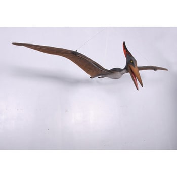 fr140025 プテラノドン3m / Pteranodon 10ft． 1個 Heinimex