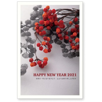 126 �N���(�f����) �������{�� 57739676