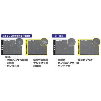 ウイルス増殖環境 消滅 染めQ(旧テロソン)