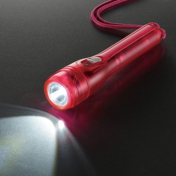 スケルトンLEDライト オーム電機