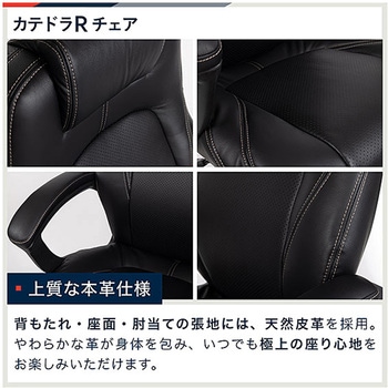 カテドラ 革張りチェア ＜お客様組立商品＞ イトーキ