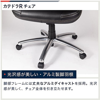 カテドラ 革張りチェア ＜お客様組立商品＞ イトーキ