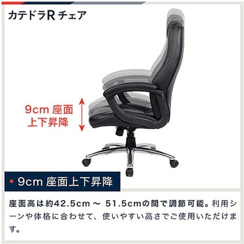 カテドラ 革張りチェア ＜お客様組立商品＞ イトーキ