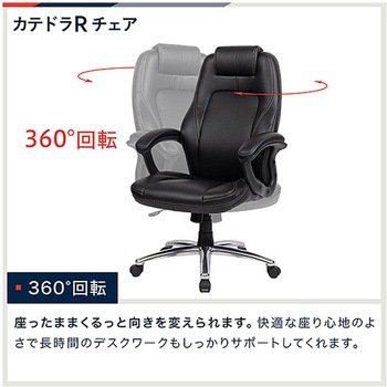 カテドラ 革張りチェア ＜お客様組立商品＞ イトーキ