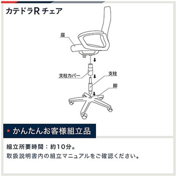 カテドラ 革張りチェア ＜お客様組立商品＞ イトーキ