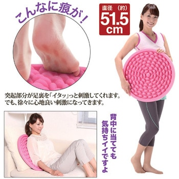 アクティブステップサークル 後藤