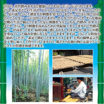 健康足踏み竹(イボ付き) 後藤