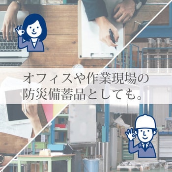 ふわ暖Light 防災寝袋封筒型-6℃ Bears Rock