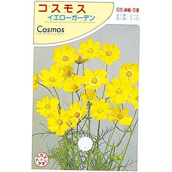 コスモス イエローガーデン 1袋 1ml 福花園 通販サイトmonotaro