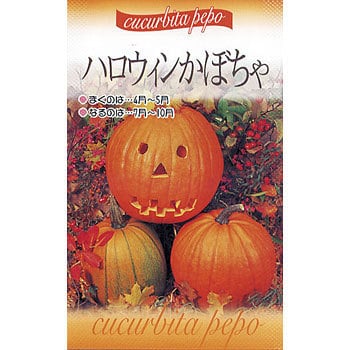 ハロウィンかぼちゃ 福花園 野菜の種 春まき 通販モノタロウ