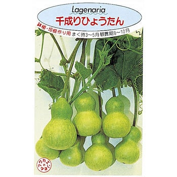 千成ひょうたん 福花園 植物 草花の種 春まき 通販モノタロウ