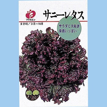 サニーレタス用】#25 三角袋 大(U) | 株式会社堀江本店｜株式