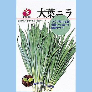 にら 大葉ニラ 福花園 野菜の種 春まき 通販モノタロウ