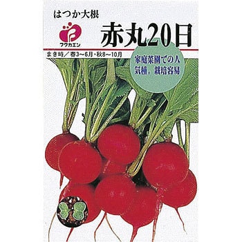 タネ だいこん 赤丸日 福花園 種タイプ 通販モノタロウ