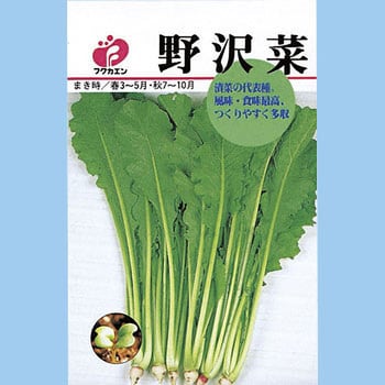 タネ 野沢菜 1袋 10ml 福花園 通販サイトmonotaro 5756