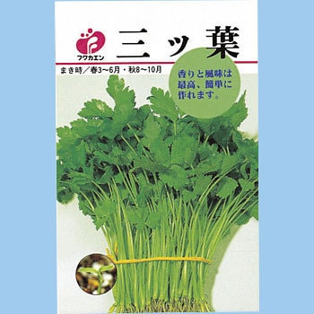 タネ 三ツ葉 福花園 野菜の種 春まき 通販モノタロウ