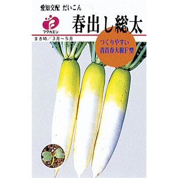 だいこん 春出し総太 福花園 野菜の種 春まき 通販モノタロウ