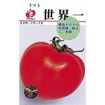 トマト 世界一 1袋(1mL) 福花園 【通販モノタロウ】