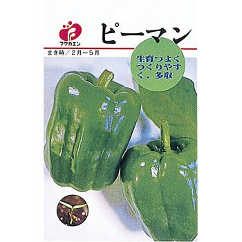 ピーマン 福花園 野菜の種 春まき 通販モノタロウ