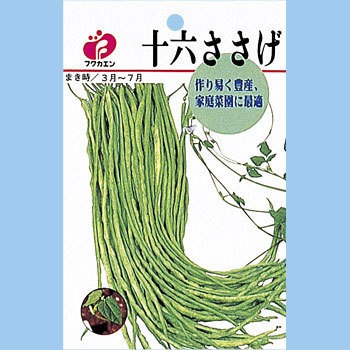 ささげ 十六ささげ 1袋(20mL) 福花園 【通販モノタロウ】