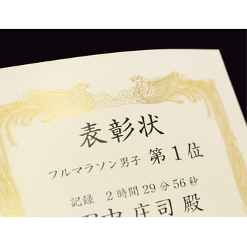 10-3161 金箔賞状用紙 白 100枚入(業務用) 1箱(100枚) ササガワ(タカ印