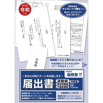 44-501 届出書セット(履歴書付き) 1袋(5セット) ササガワ 【通販