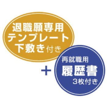 44-501 届出書セット(履歴書付き) 1袋(5セット) ササガワ 【通販