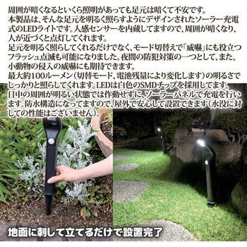 ソーラーLEDアプローチライト(威嚇フラッシュ付) 後藤