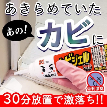 激落ち カビ取りジェル 防カビプラス LEC(レック)