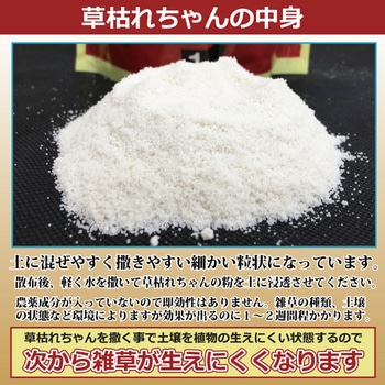 除草材「草枯れちゃん」 2kg 後藤