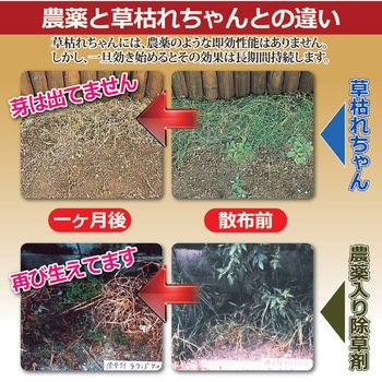 除草材「草枯れちゃん」 3kg 旭東