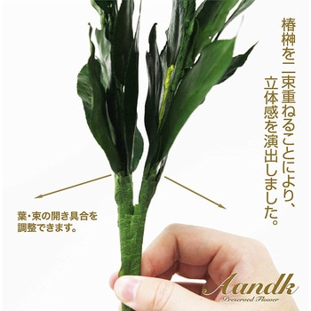 プレミアム プリザーブド榊SV A&K