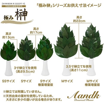 プレミアム プリザーブド榊SV A&K