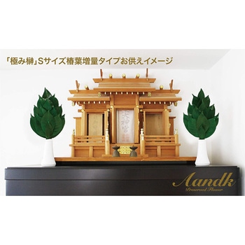 プレミアム プリザーブド榊SV A&K