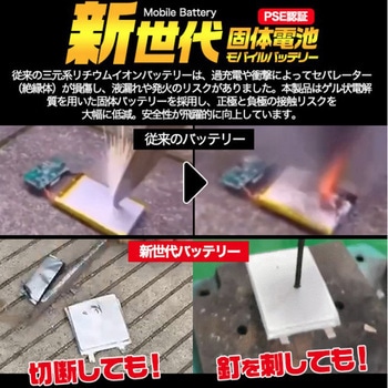 新世代個体電池モバイルバッテリー 10000mAh プラタ
