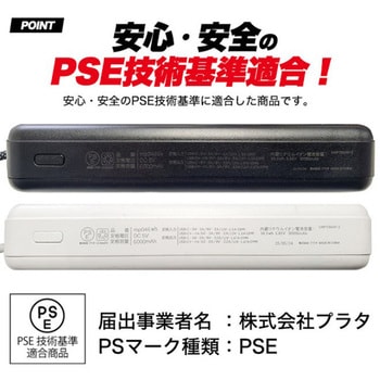 新世代個体電池モバイルバッテリー 10000mAh プラタ