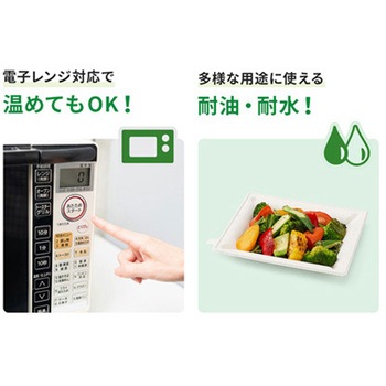 WB麦バガスプレート20-1 PackStyle(パックスタイル)
