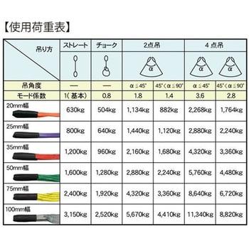 CEベルトスリングE型 使用荷重2400kg 幅75mm FREAK(フリーク)