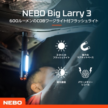 BIG LARRY NEBO