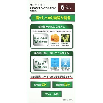 サロンドプロ EXメンズヘアマニキュア(白髪用) ダリヤ