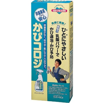 かびコロジ サンデーペイント