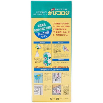 かびコロジ サンデーペイント