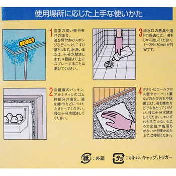 かびコロジ サンデーペイント