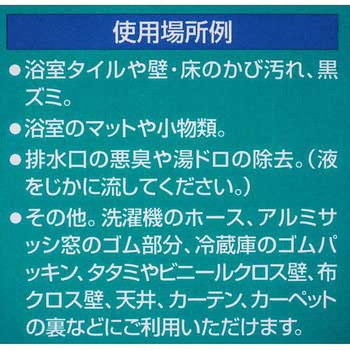 かびコロジ サンデーペイント